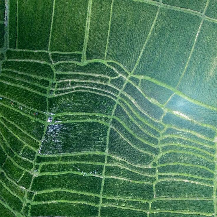 Outdoor terrace seating suitable for families in Florence